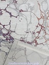 1de733d892ba11eba69b1caff70ea601_d5dc0a4d125c4a7cb02156b82aaa0a66.jpg