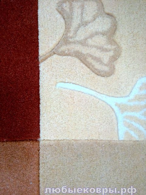 95ad24a2438011e2bd791caff70ea601_5ef9dda295774e35bc1dfd56fda3766e.jpg